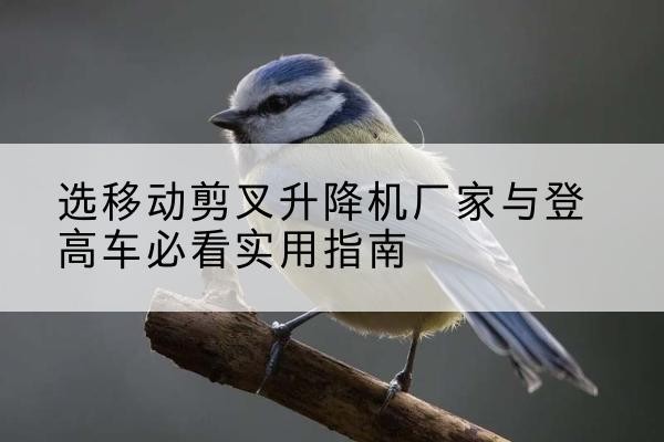 龙沙电动升降机厂家-选移动剪叉升降机厂家与登高车必看实用指南
