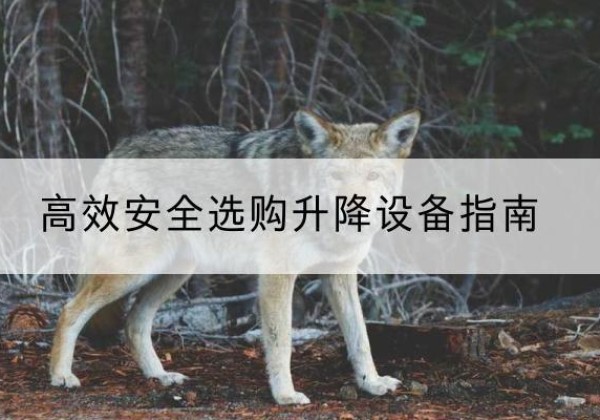 龙沙升降货梯厂家推荐-*安全选购升降设备指南
